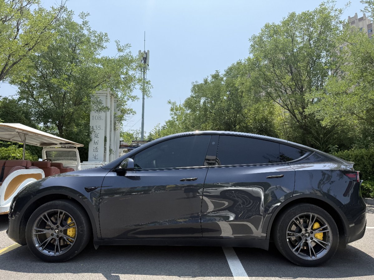 Tesla Model Y 2024 #6 Tesla Model Y 2024 car image #6