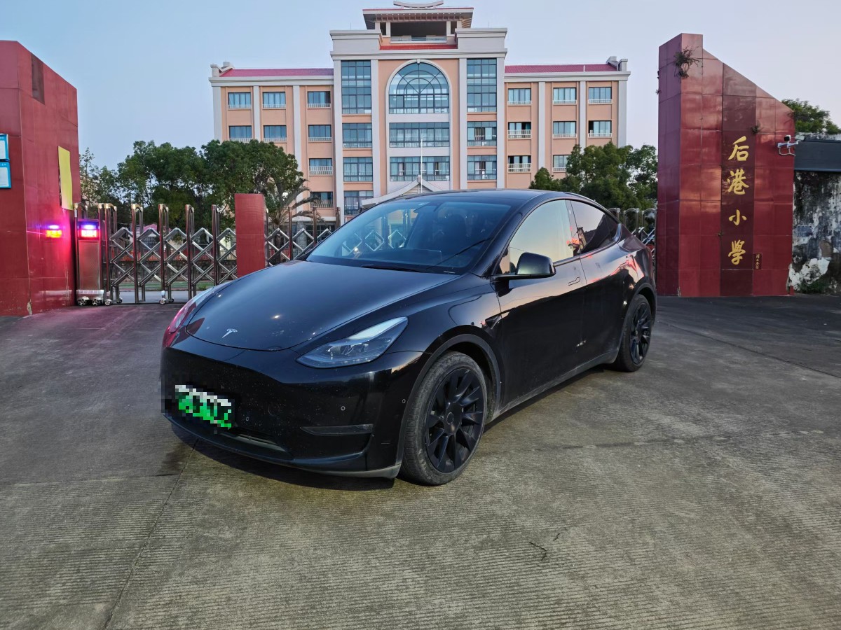 Tesla Model Y 2021 Tesla Model Y 2021 car image