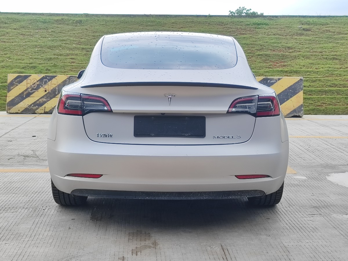 Tesla Model 3 2022 #3 Tesla Model 3 2022 car image #3