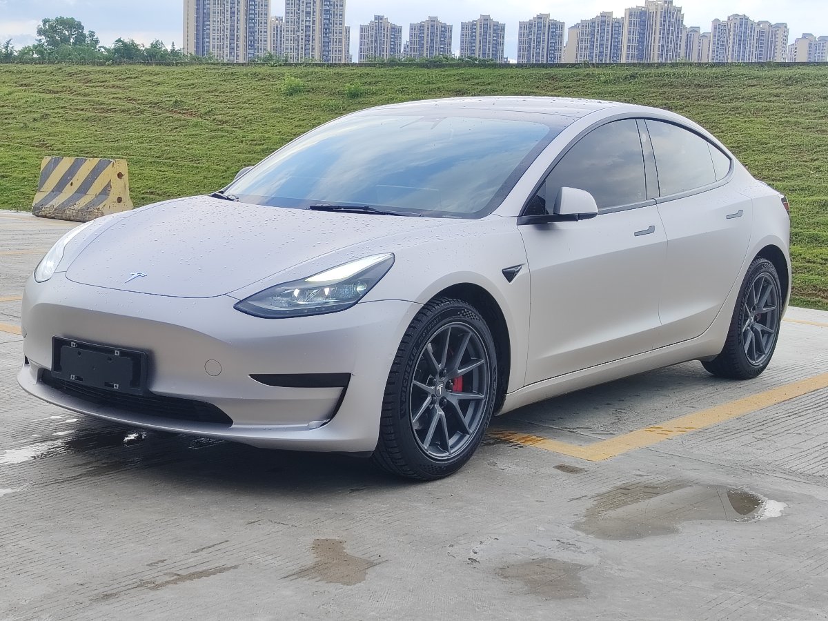 Tesla Model 3 2022 Tesla Model 3 2022 car image