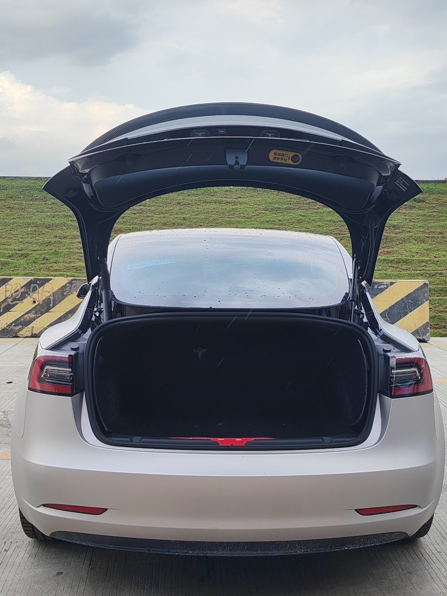 Tesla Model 3 2022 #12 Tesla Model 3 2022 car image #12