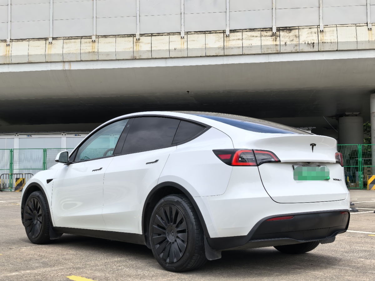 Tesla Model Y 2024 #9 Tesla Model Y 2024 car image #9
