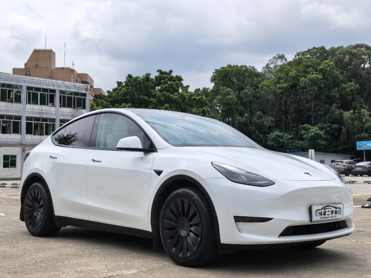 Tesla Model Y 2024 #3 Tesla Model Y 2024 car image #3