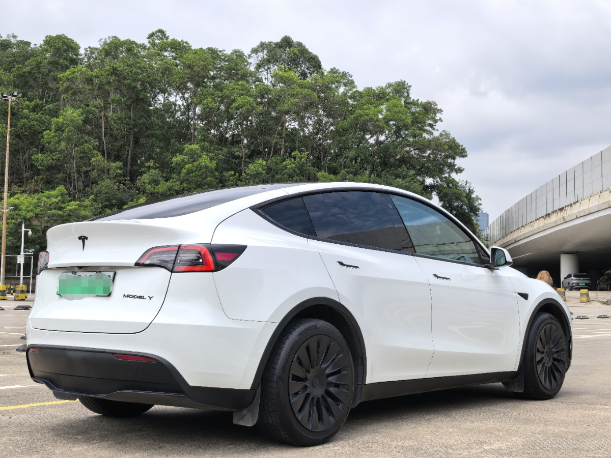 Tesla Model Y 2024 #10 Tesla Model Y 2024 car image #10