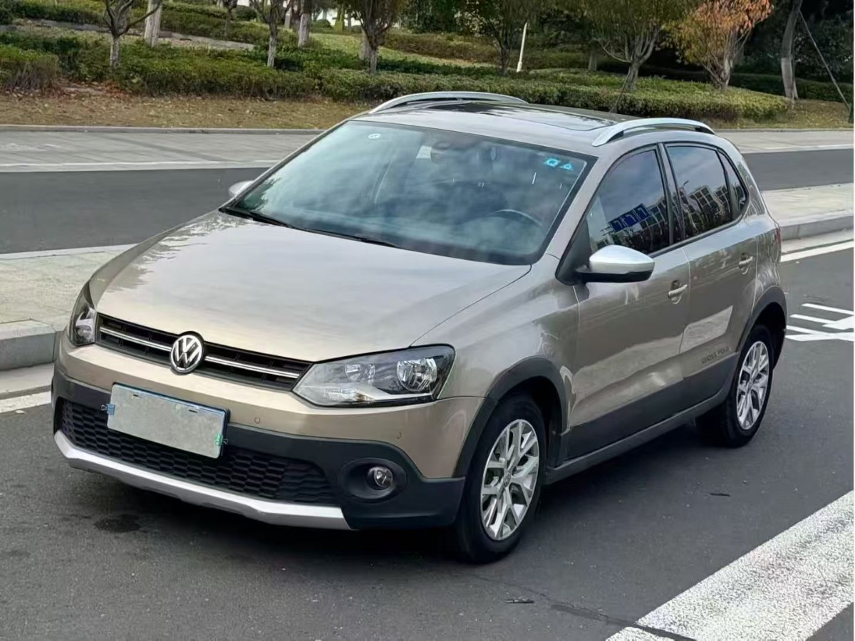 Volkswagen Polo 2014 Volkswagen Polo 2014 car image