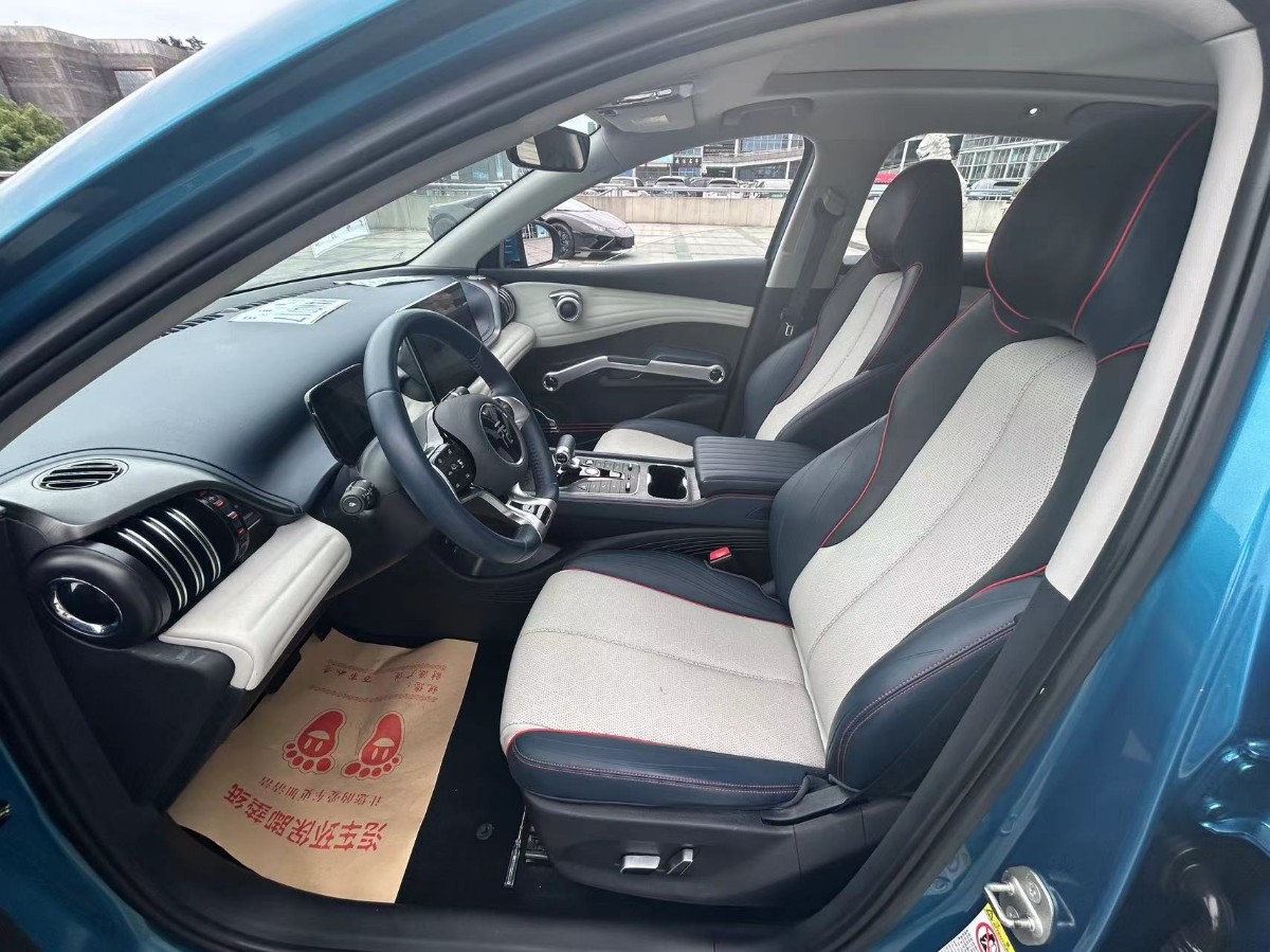 BYD Yuan Plus 2022 car image #3