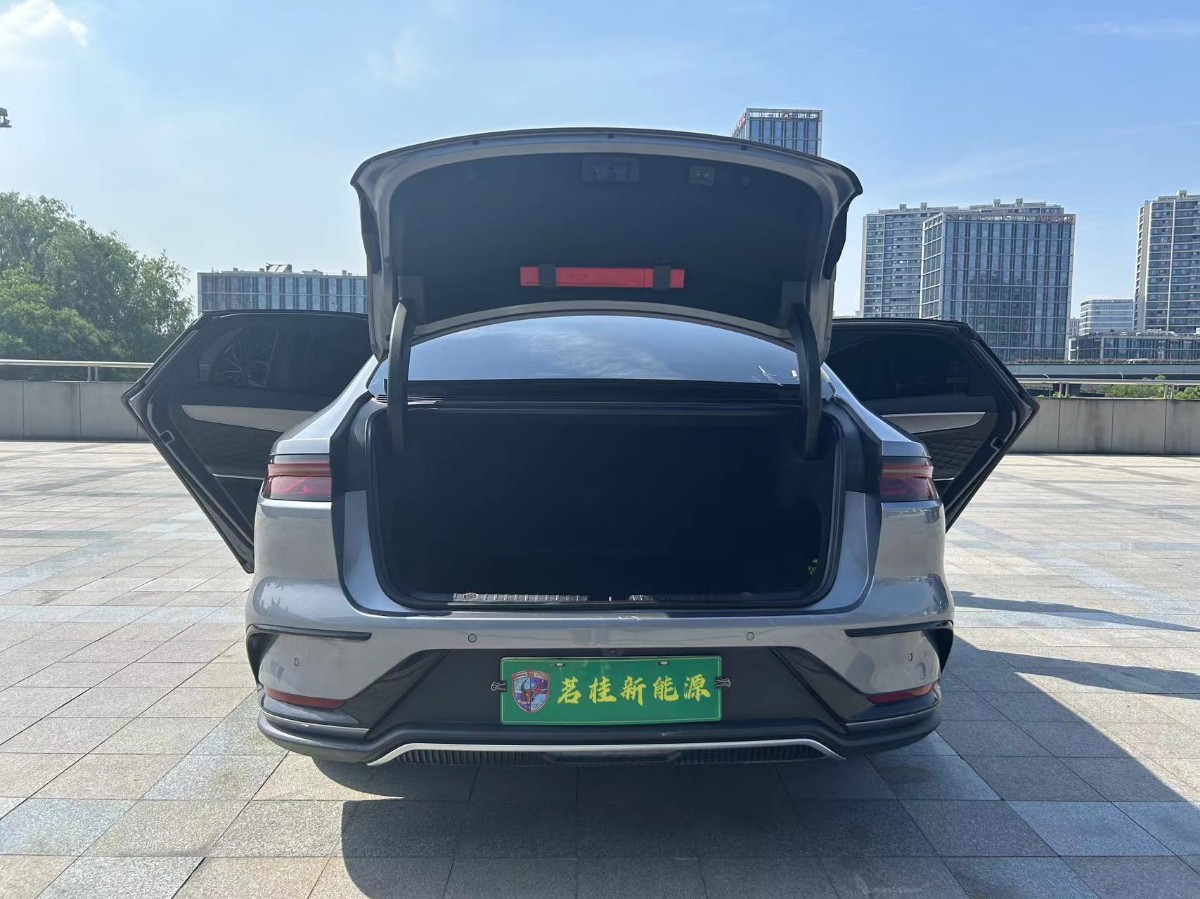 BYD Han 2020 #8 BYD Han 2020 car image #8