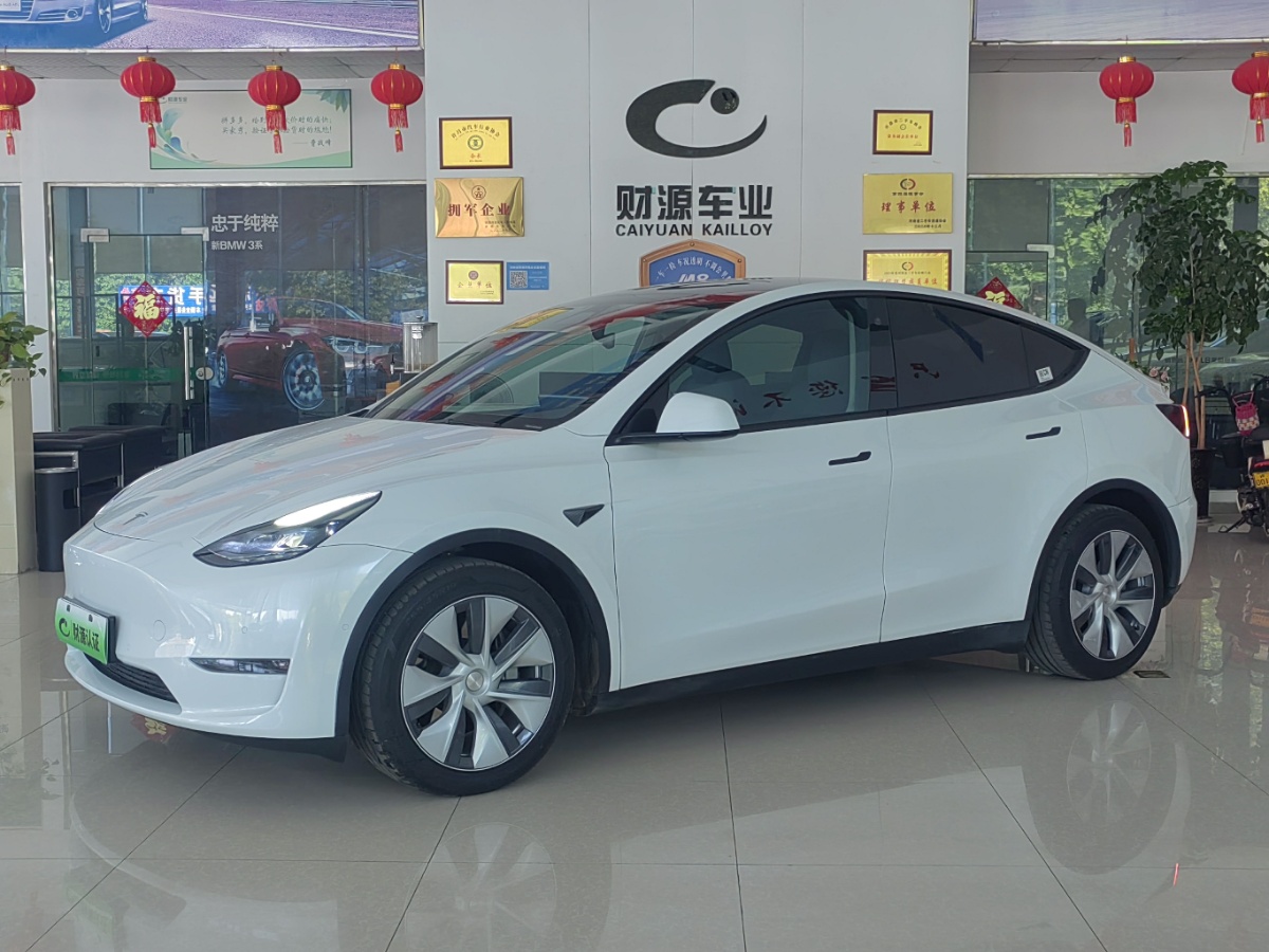 Tesla Model Y 2022 Tesla Model Y 2022 car image