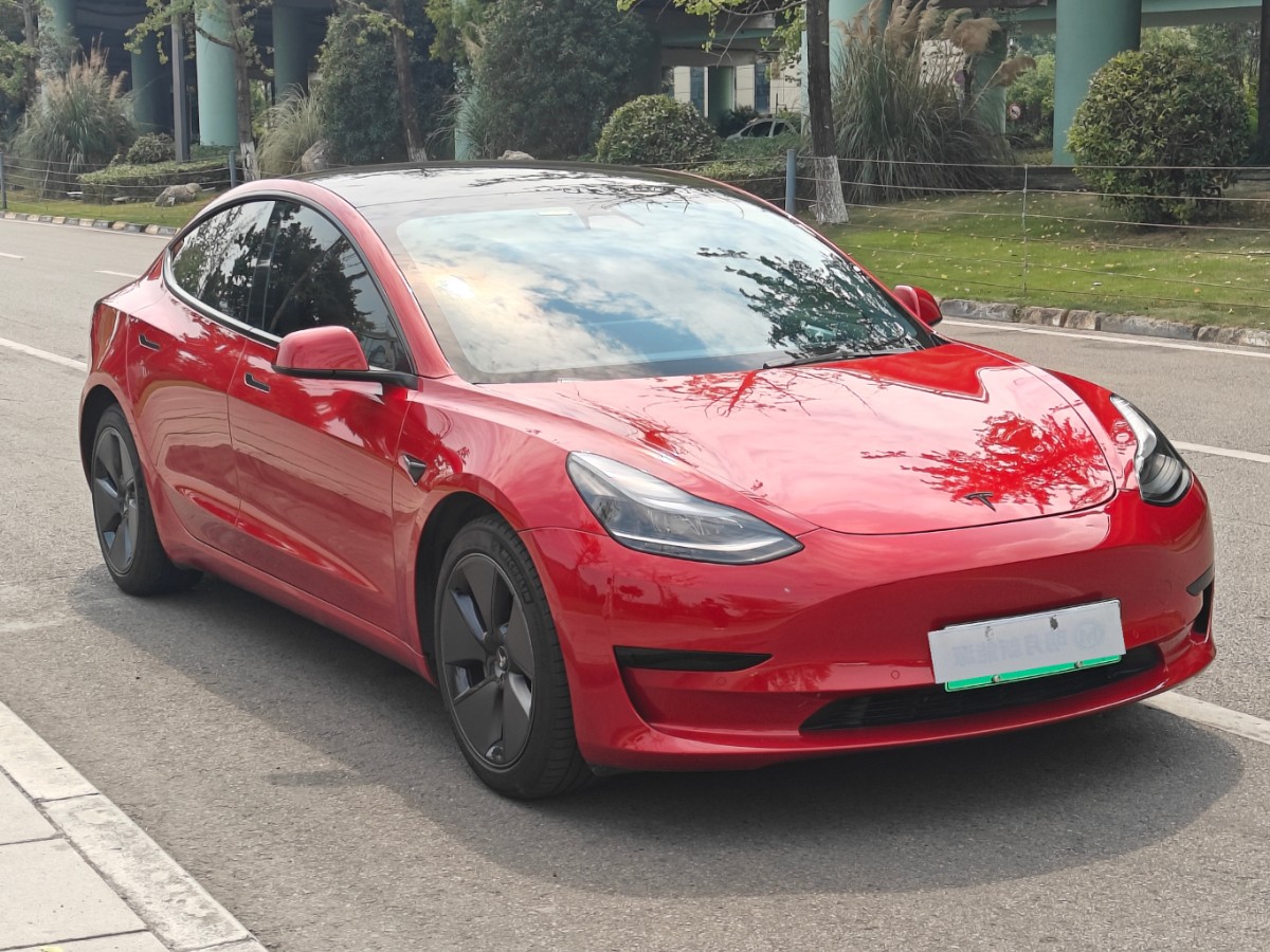 Tesla Model 3 2021 #3 Tesla Model 3 2021 car image #3