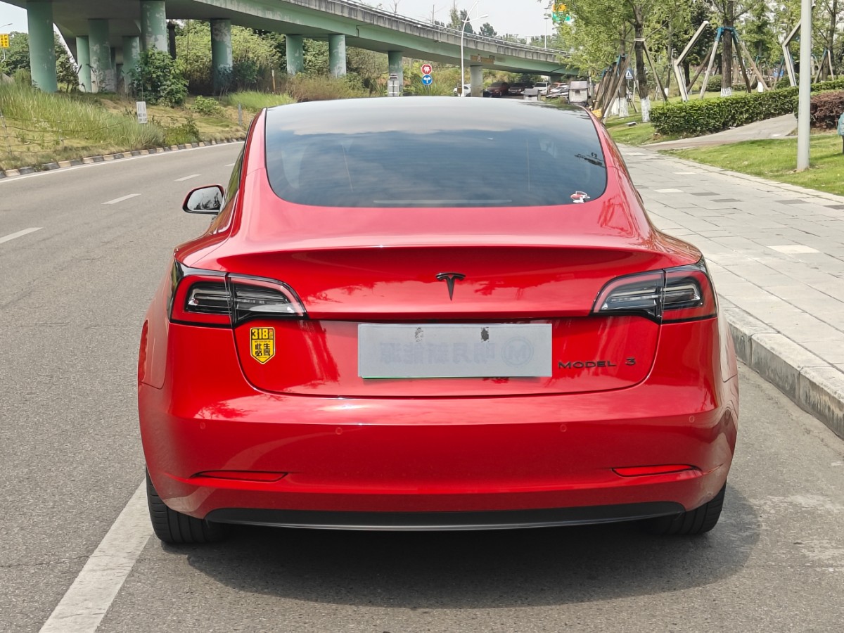 Tesla Model 3 2021 #12 Tesla Model 3 2021 car image #12