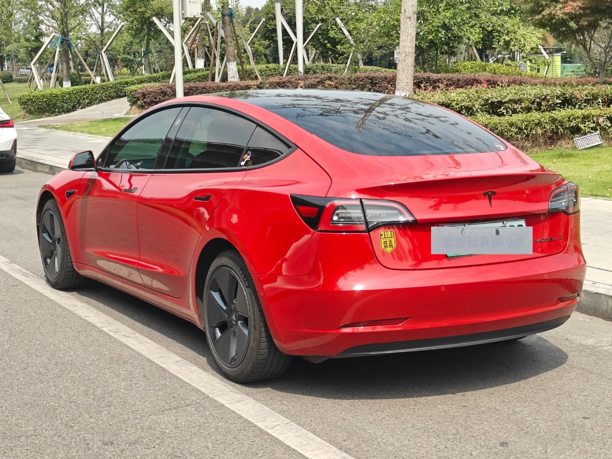 Tesla Model 3 2021 #13 Tesla Model 3 2021 car image #13