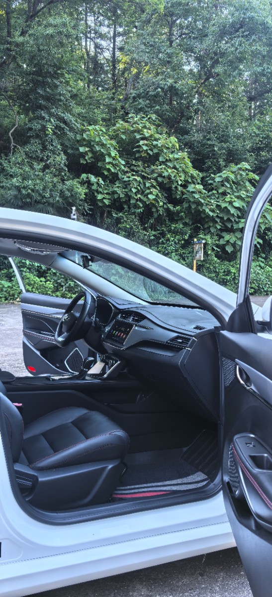 GEELY Binray 2019 car image #7