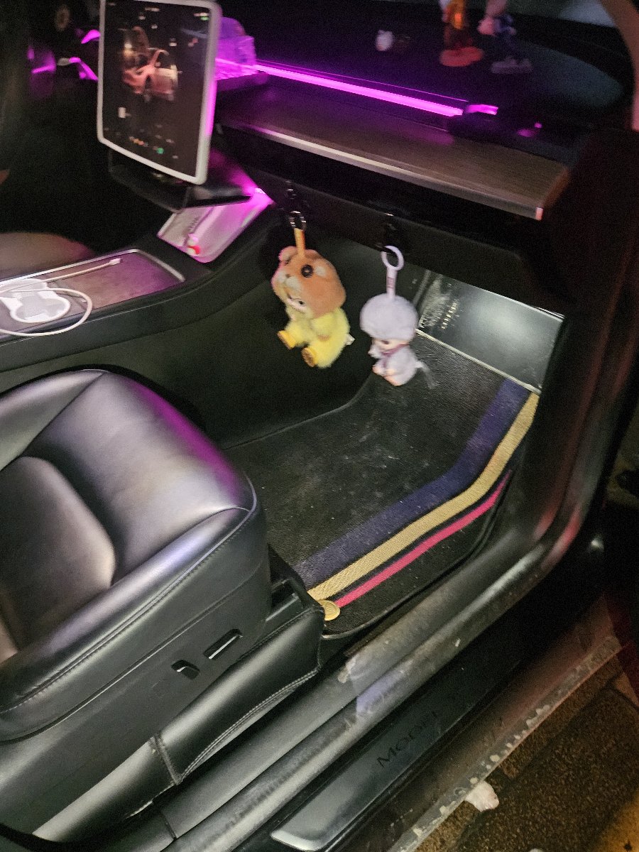 Tesla Model Y 2022 car image #3
