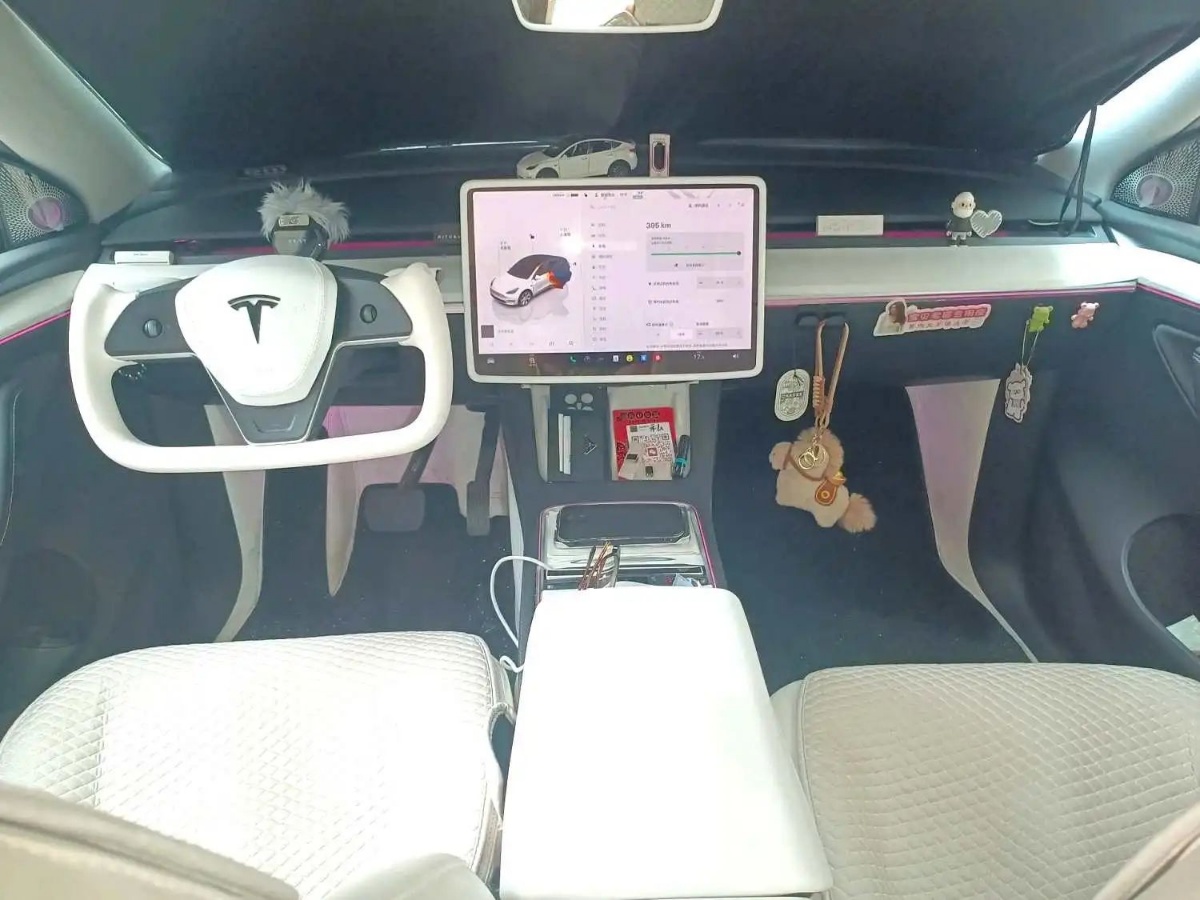 Tesla Model Y 2023 car image #7