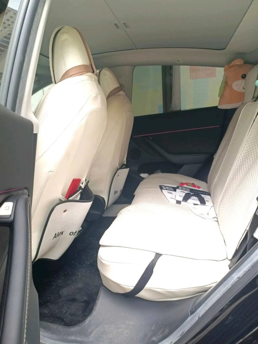 Tesla Model Y 2023 car image #6