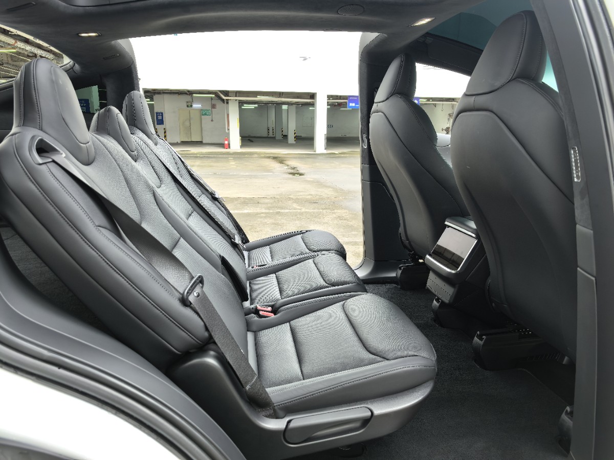 Tesla Model X 2024 #8 Tesla Model X 2024 car image #8