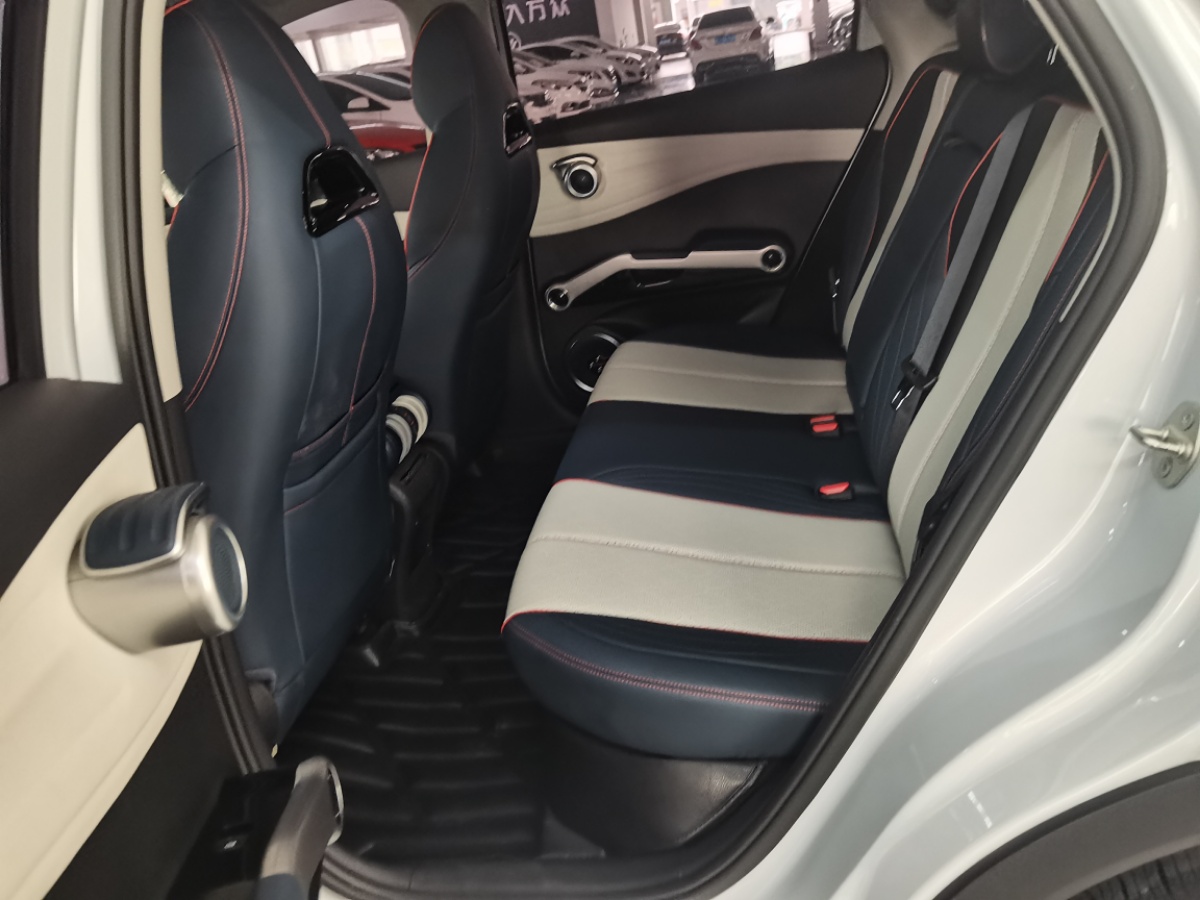 BYD Yuan Plus 2023 car image #7