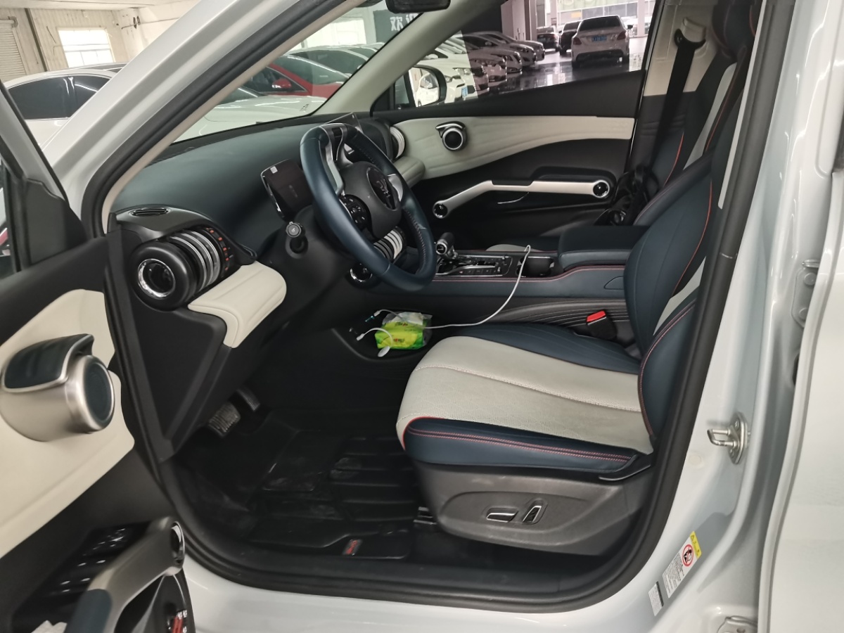 BYD Yuan Plus 2023 car image #8