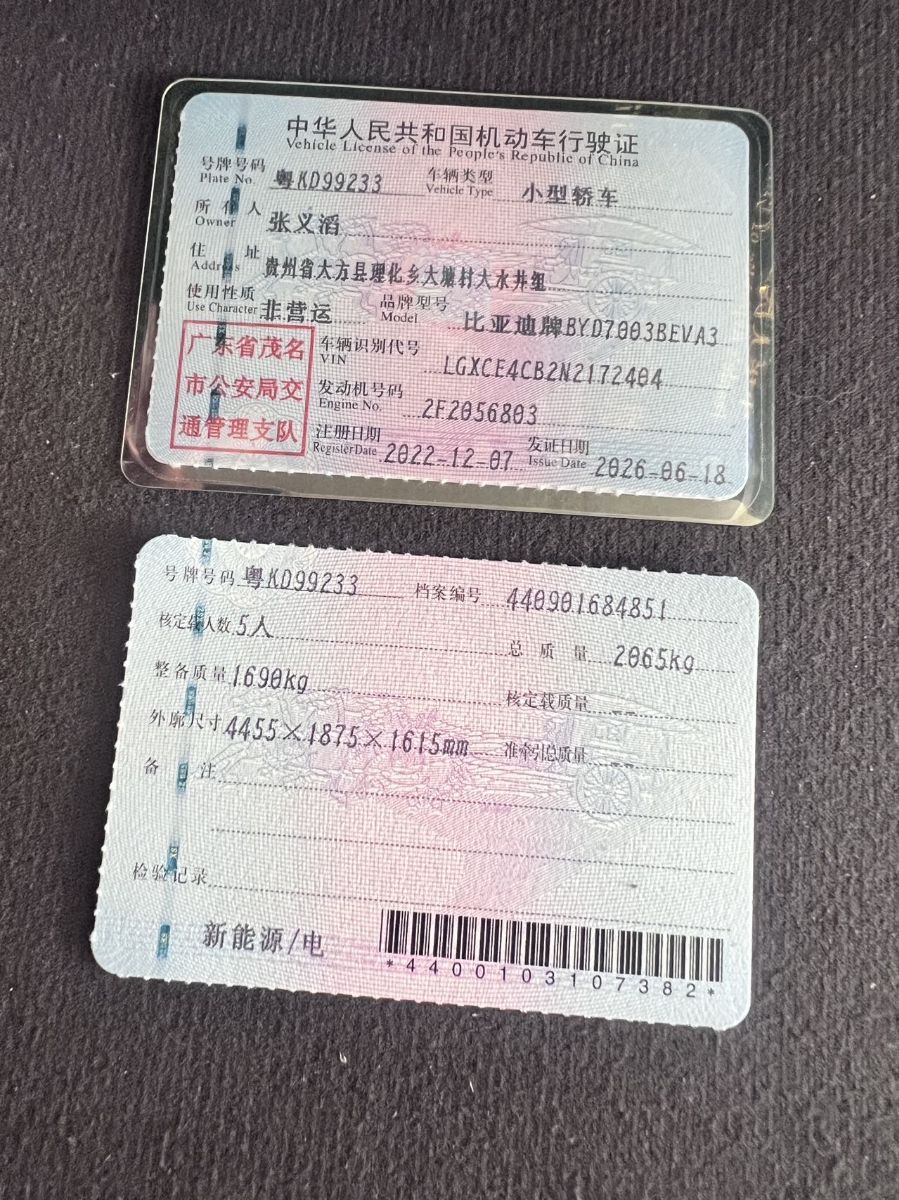 BYD Yuan Plus 2022 car image #10