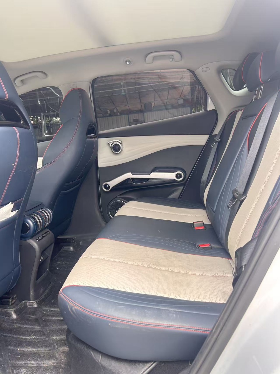 BYD Yuan Plus 2022 car image #5