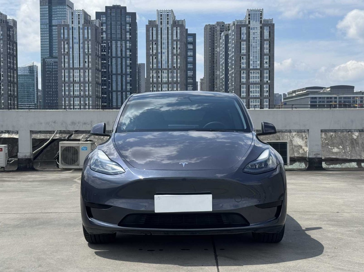 Tesla Model Y 2022 car image #2