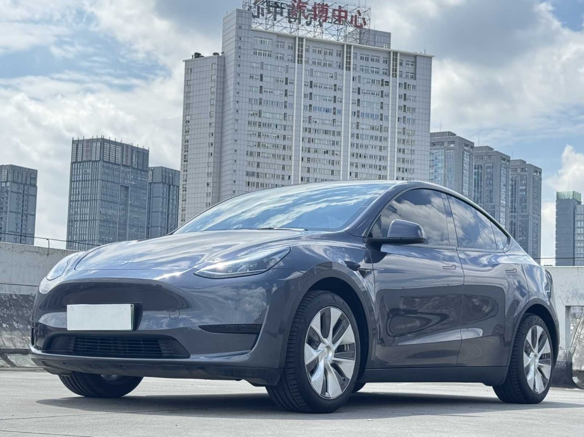 Tesla Model Y 2022 car image 