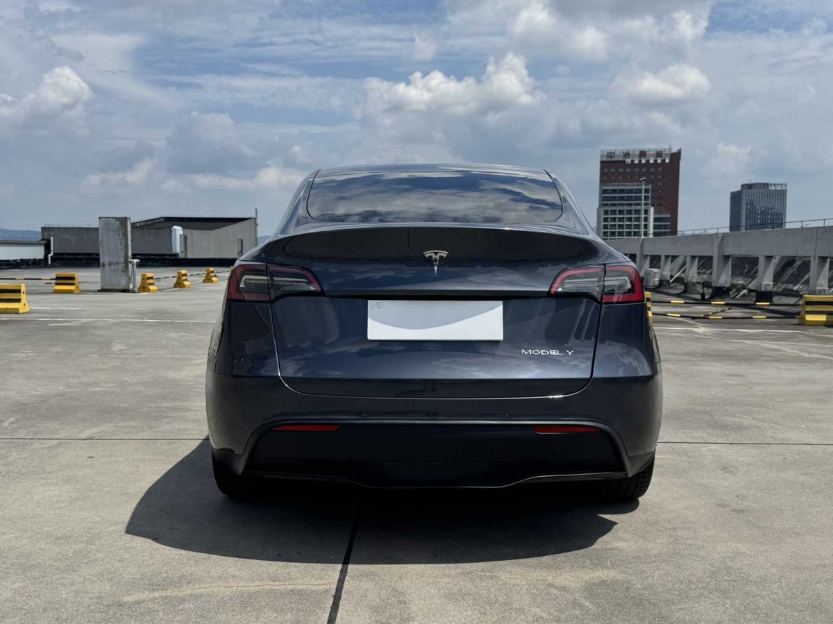 Tesla Model Y 2022 car image #4
