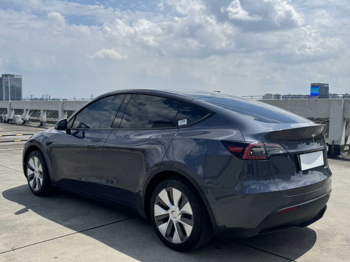 Tesla Model Y 2022 car image #6