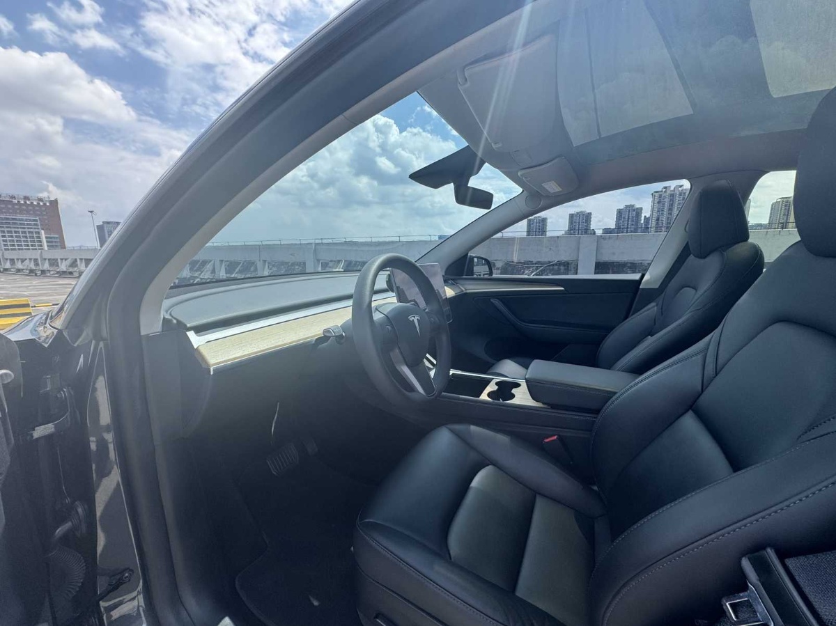 Tesla Model Y 2022 car image #7