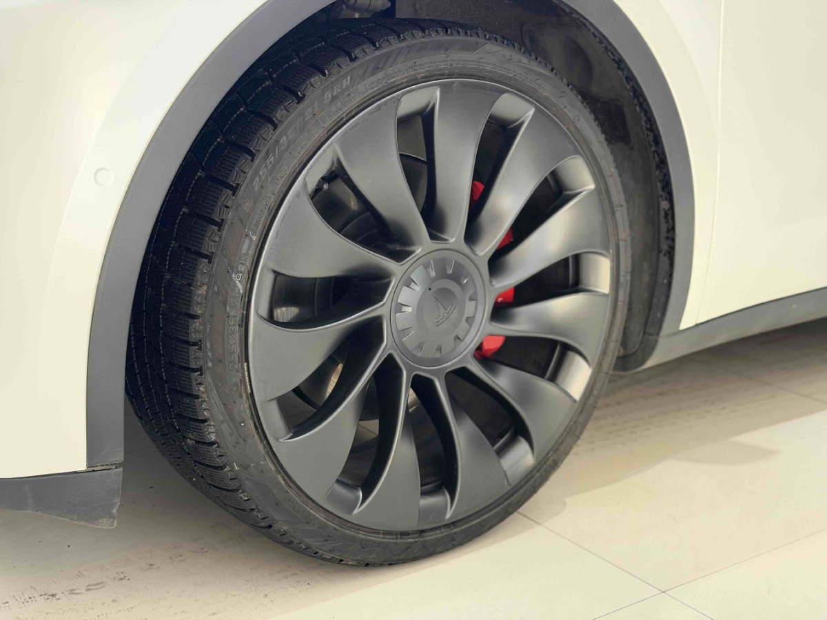 Tesla Model Y 2023 #7 Tesla Model Y 2023 car image #7