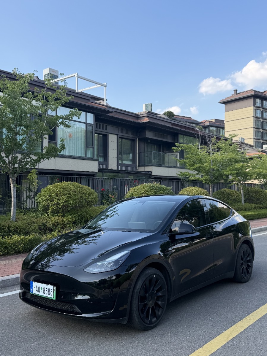 Tesla Model Y 2023 car image #3