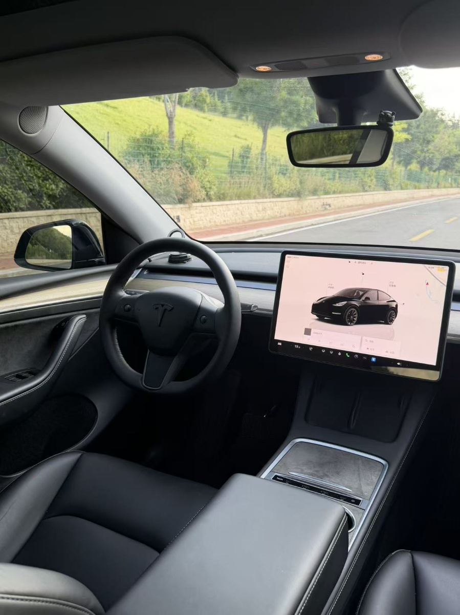 Tesla Model Y 2023 car image #6