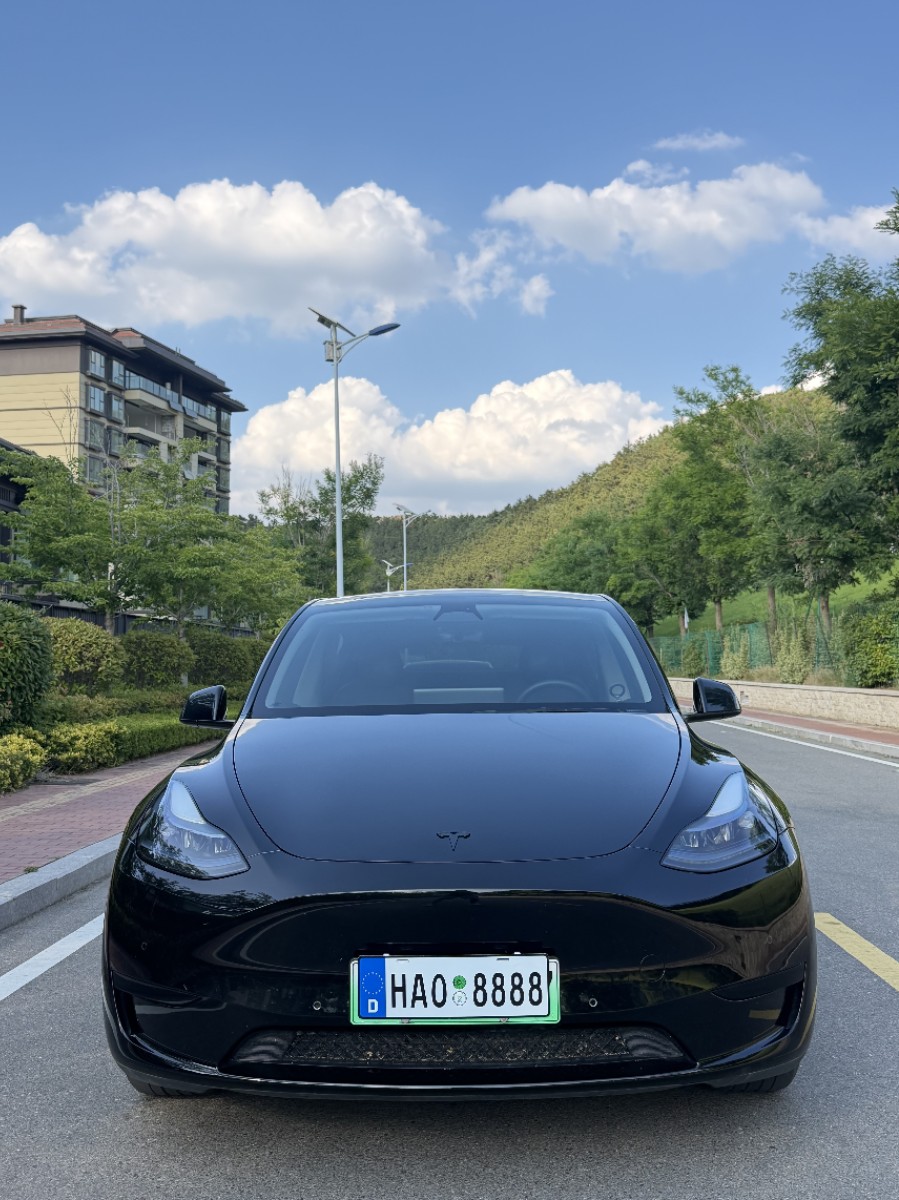 Tesla Model Y 2023 car image #2