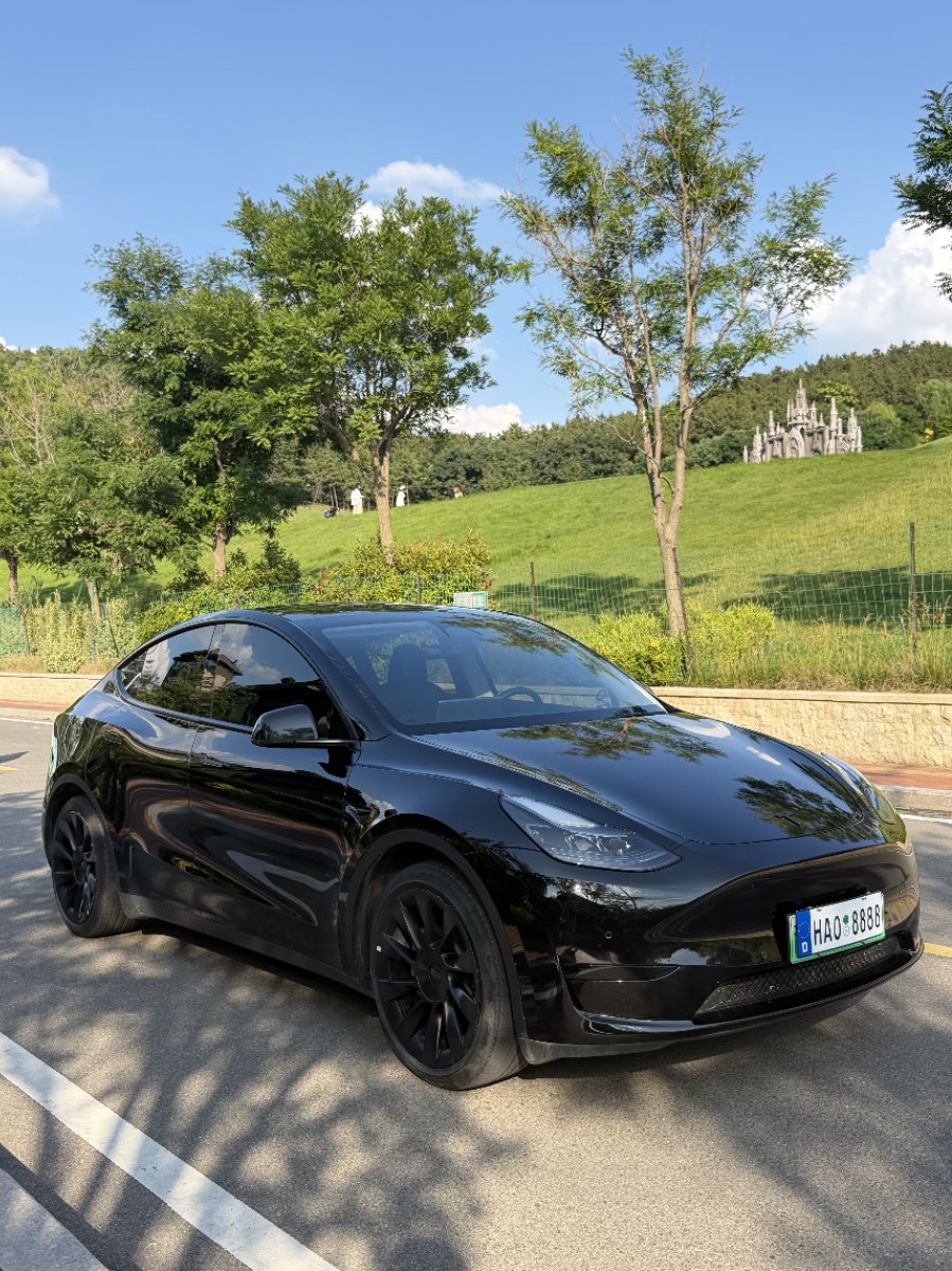Tesla Model Y 2023 car image 
