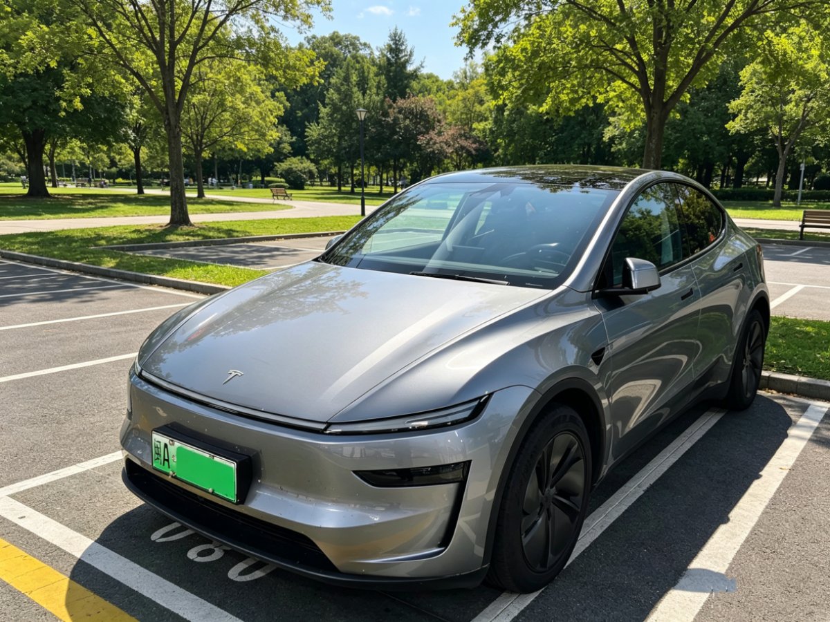 Tesla Model Y 2025 Tesla Model Y 2025 car image