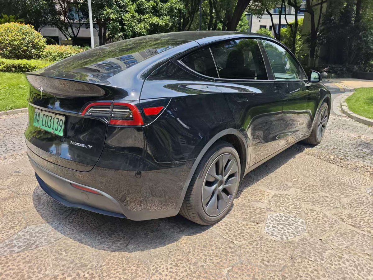 Tesla Model Y 2024 #8 Tesla Model Y 2024 car image #8
