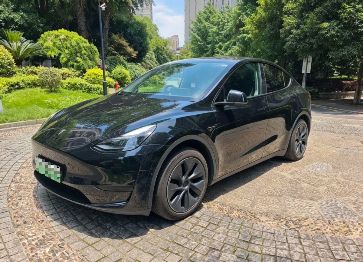 Tesla Model Y 2024 Tesla Model Y 2024 car image