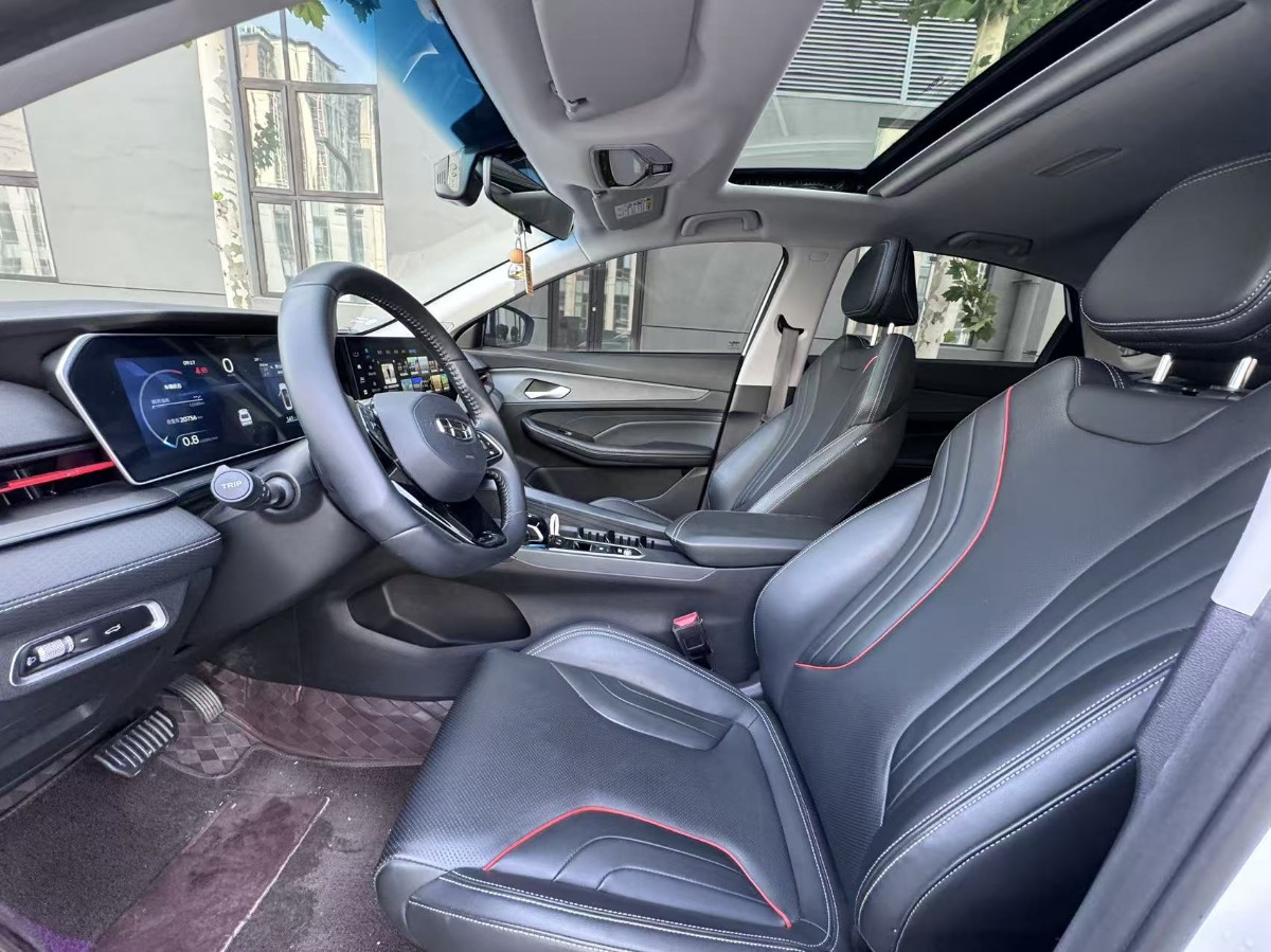 GEELY Binray 2024 #8 GEELY Binray 2024 immagine di auto #8