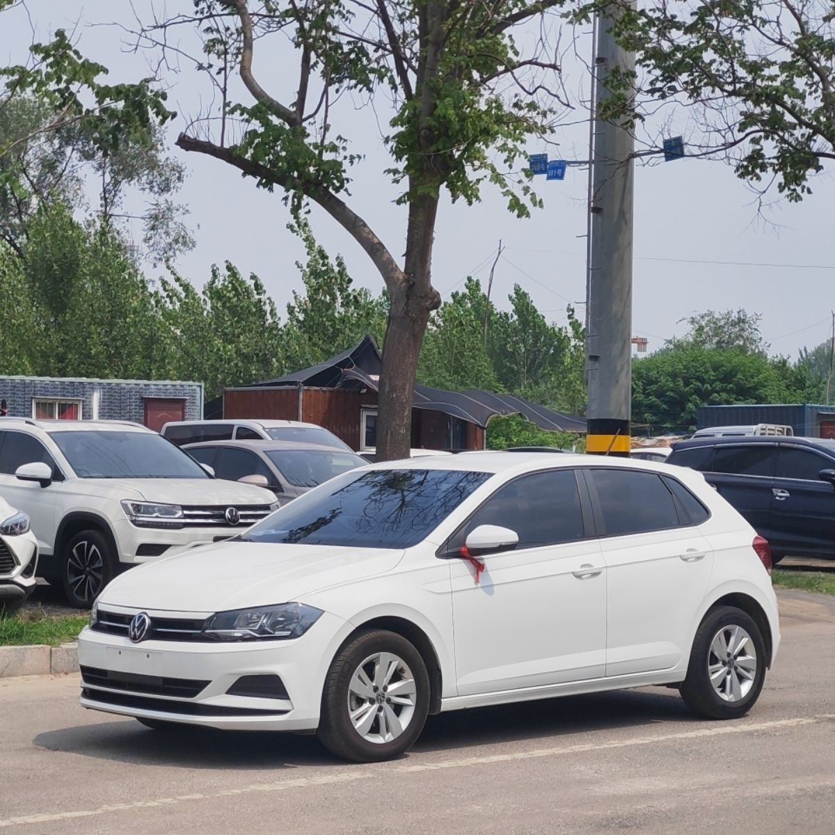 Volkswagen Polo 2023 Volkswagen Polo 2023 car image