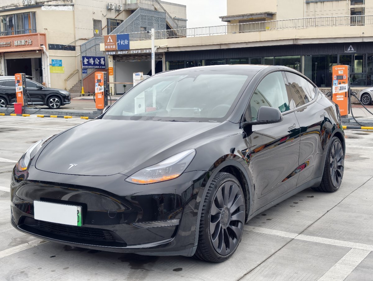 Tesla Model Y 2023 Tesla Model Y 2023 car image