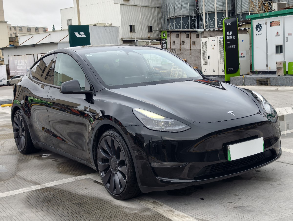 Tesla Model Y 2023 #3 Tesla Model Y 2023 car image #3