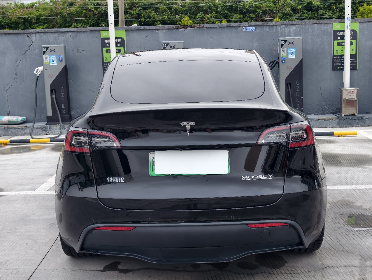 Tesla Model Y 2023 #9 Tesla Model Y 2023 car image #9