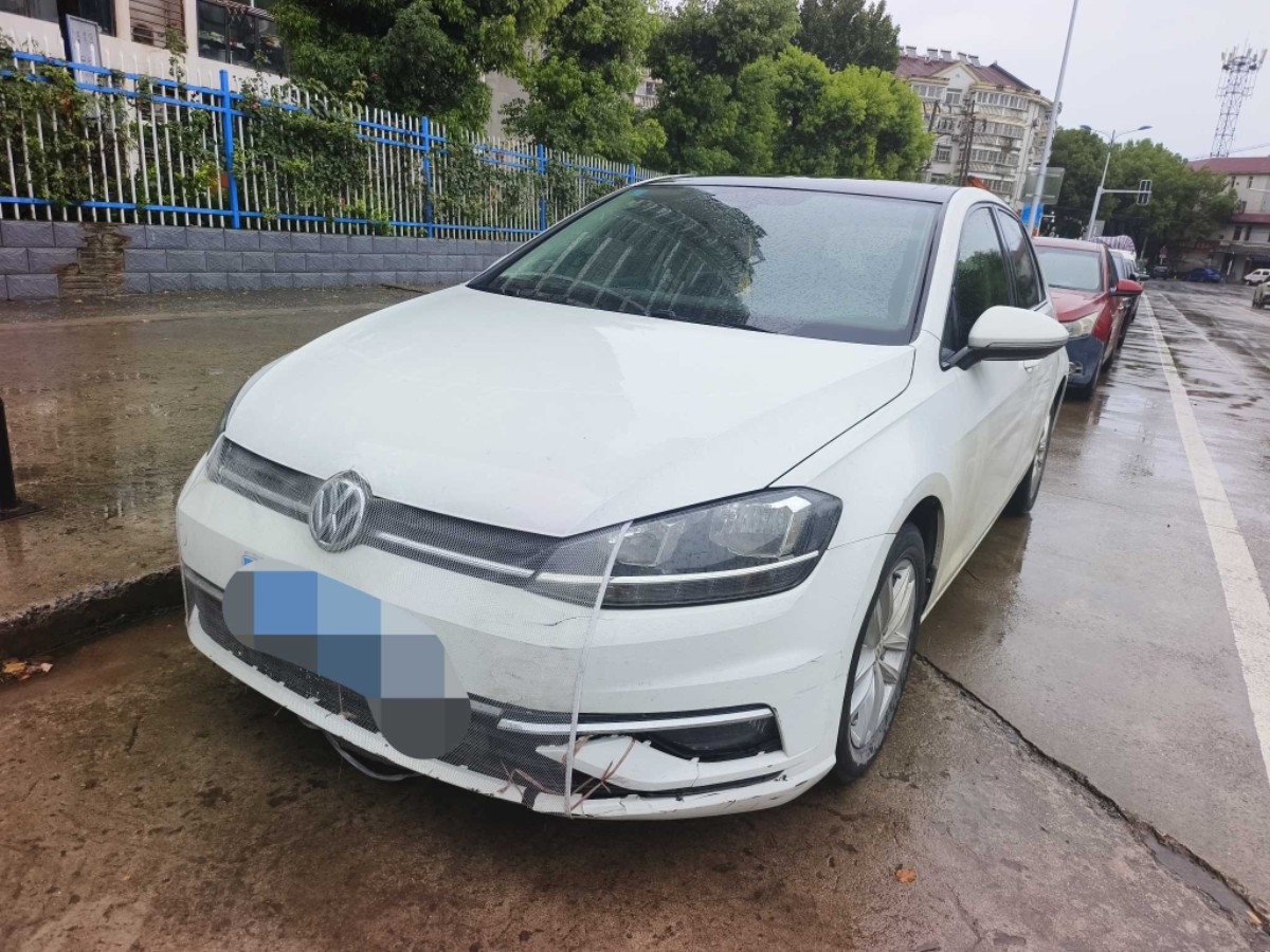 Volkswagen Golf 2019 Volkswagen Golf 2019 car image
