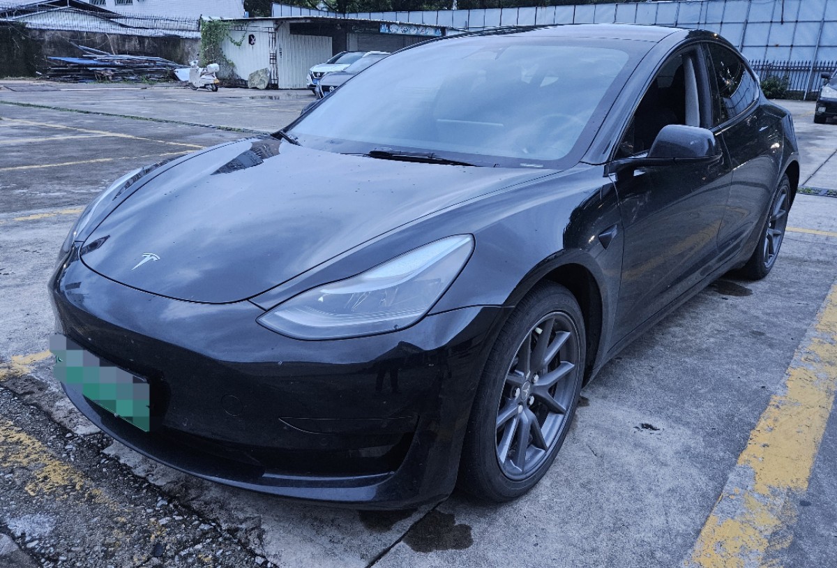 Tesla Model 3 2022 car image 
