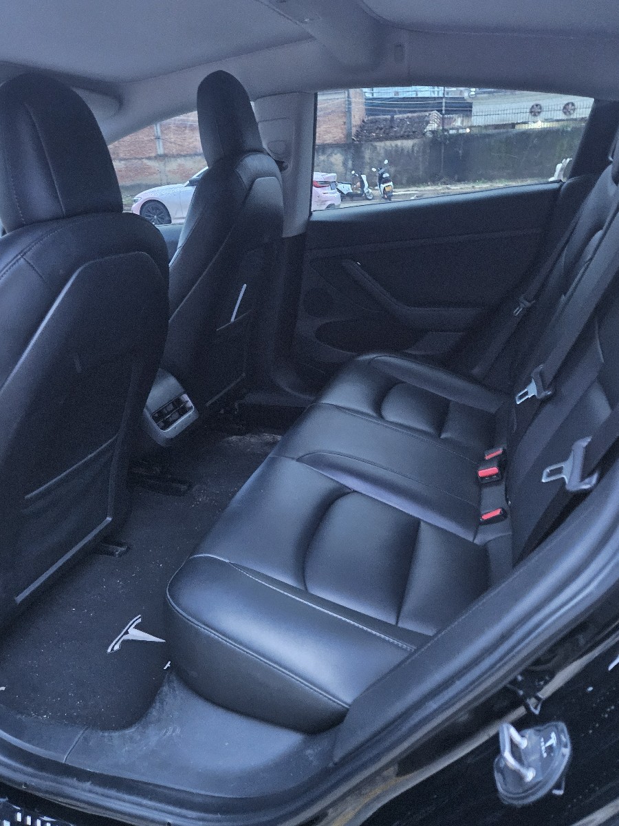 Tesla Model 3 2022 car image #8