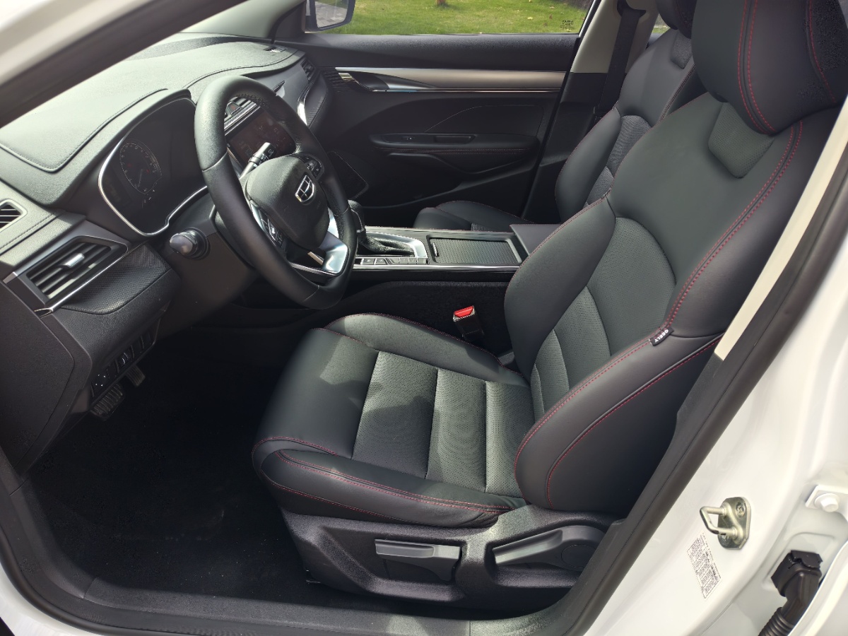 GEELY Binray 2020 car image #8