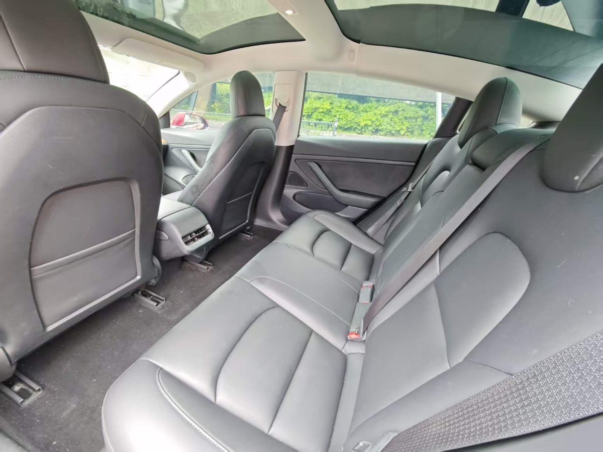 Tesla Model 3 2020 car image #7