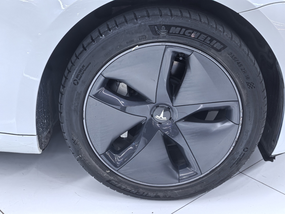 Tesla Model 3 2021 car image #14