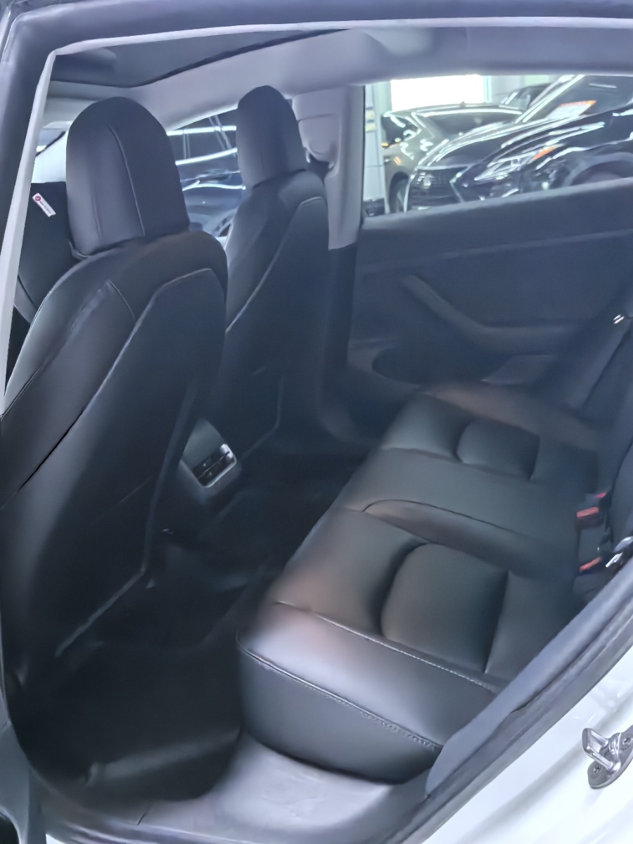 Tesla Model 3 2021 car image #9