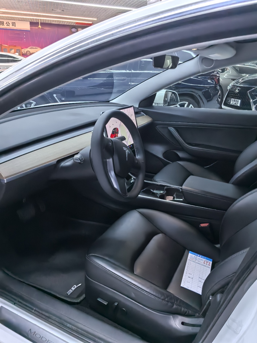 Tesla Model 3 2021 car image #13